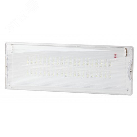 Светильник светодиодный DPA-301-1-65 IP65 40LED 3ч аварийный постоянный Б0051843 - Эра