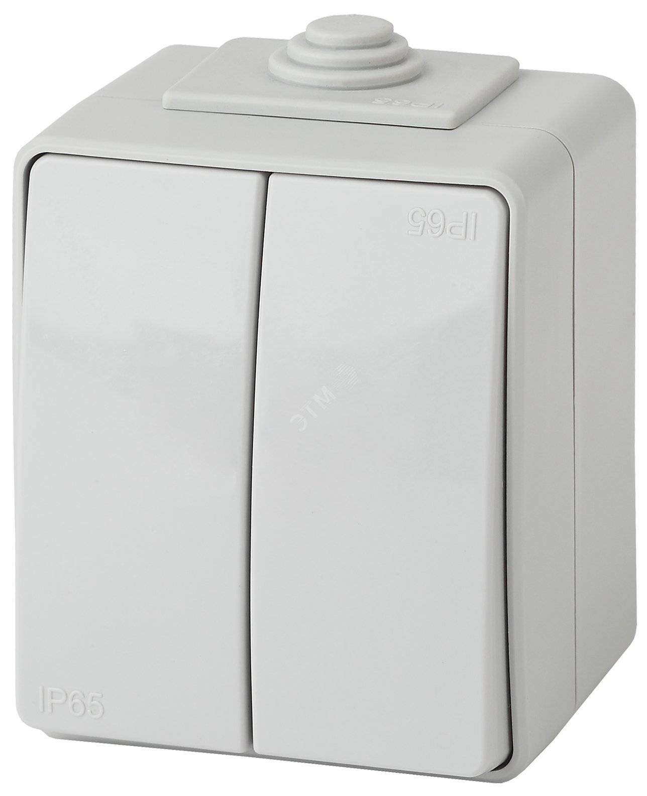 Выключатель 2-кл. ОП Эксперт 10А IP65 11-1604-03 250В 10AX (10/100/1600) сер. Б0035976 - Эра