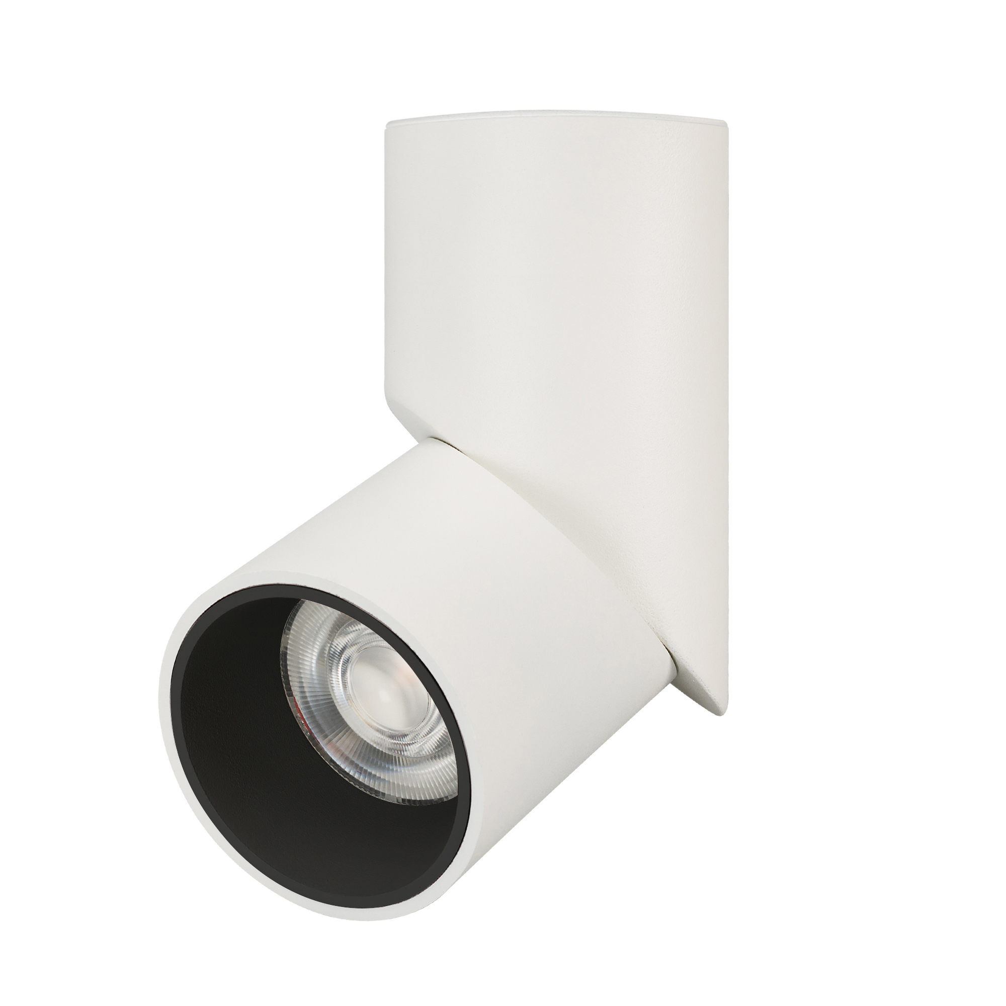 Светильник SP-TWIST-SURFACE-R70-12W Day4000 (WH-BK, 30 deg) 025453(1) - Arlight