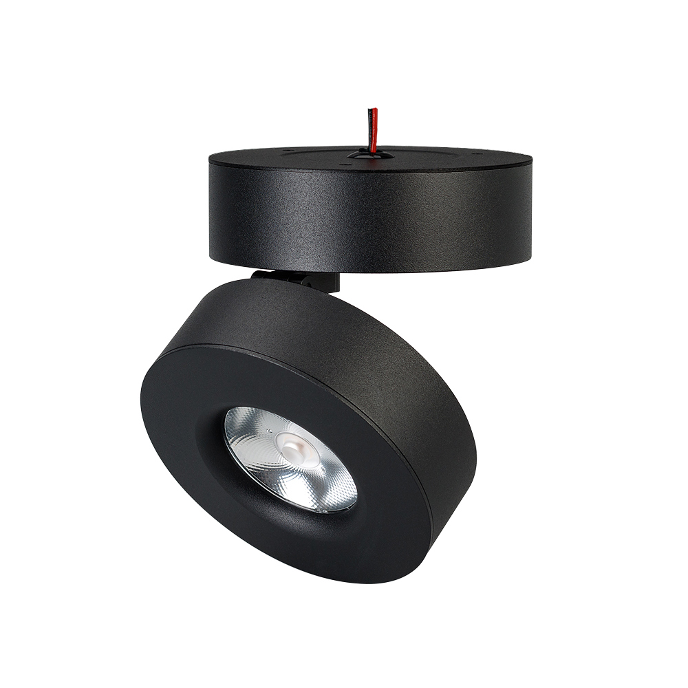 Светильник SP-MONA-SURFACE-R100-12W Day4000 (BK, 24 deg) 025442(1) - Arlight