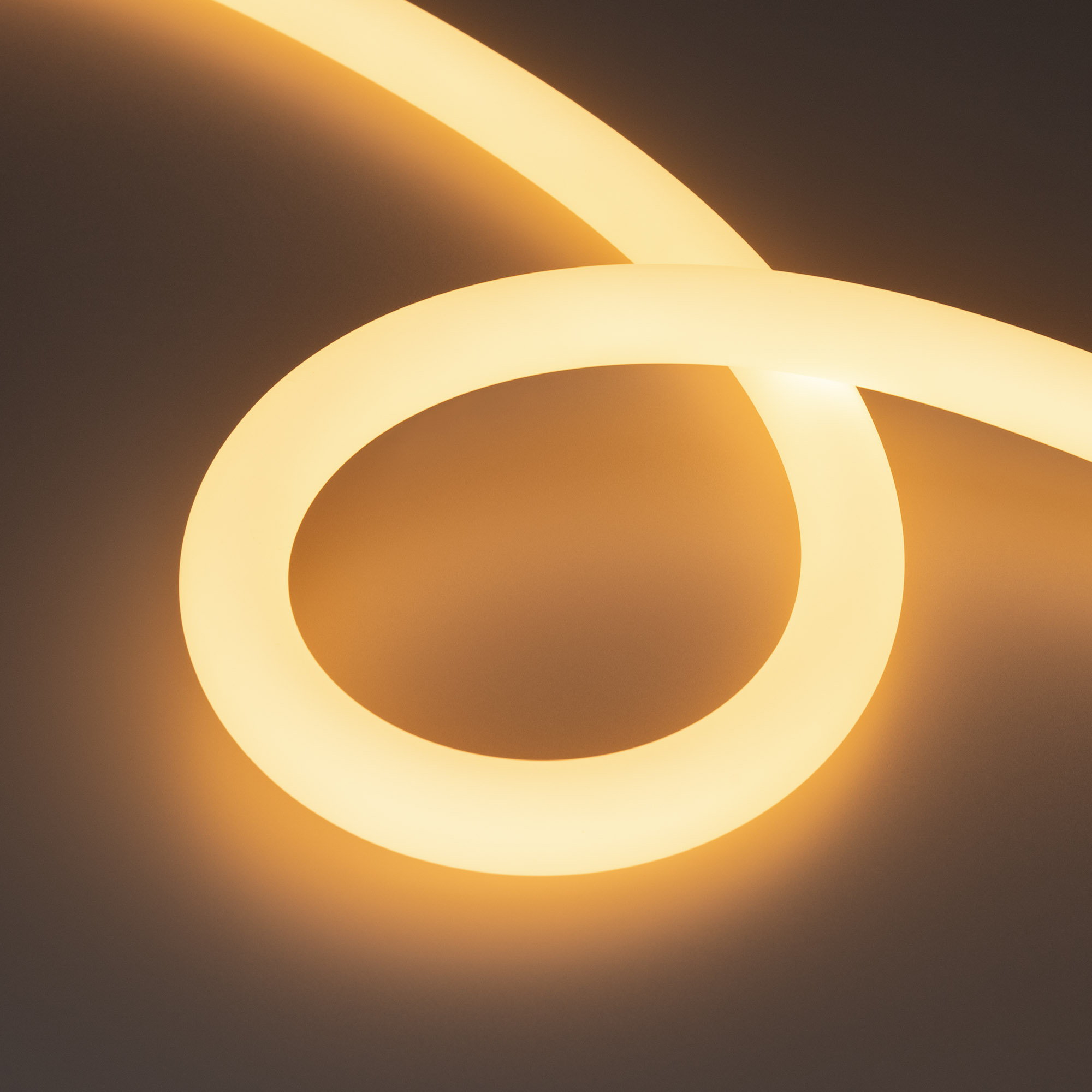 Купить Лента герметичная MOONLIGHT-TOP-A336-D25mm 24V Warm2700 360deg (14.4 W/m, IP65, 2835, 5m, wire x1) 038747 Arlight оптом в Москве