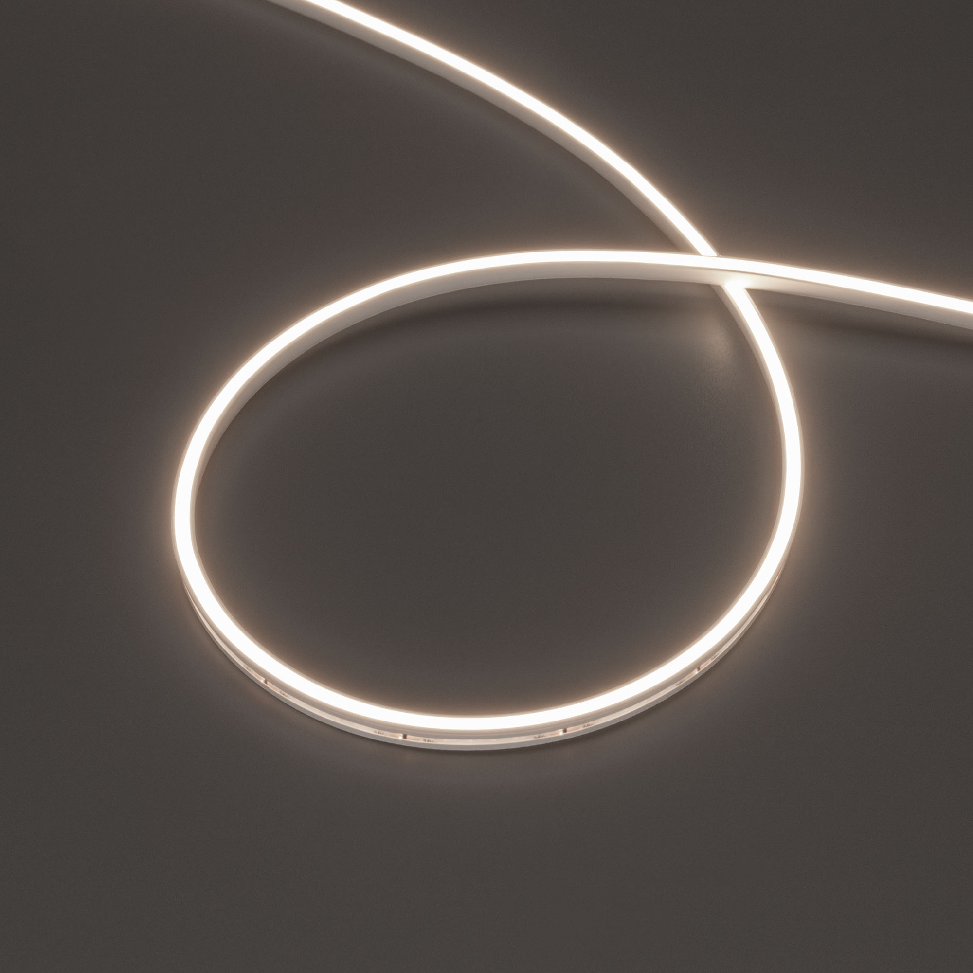 Купить Лента герметичная MOONLIGHT-SIDE-T-M196-03x06mm 24V Day4000 (7.2 W/m, IP54, 2216, 5m, wire x2) 039569 Arlight оптом в Москве