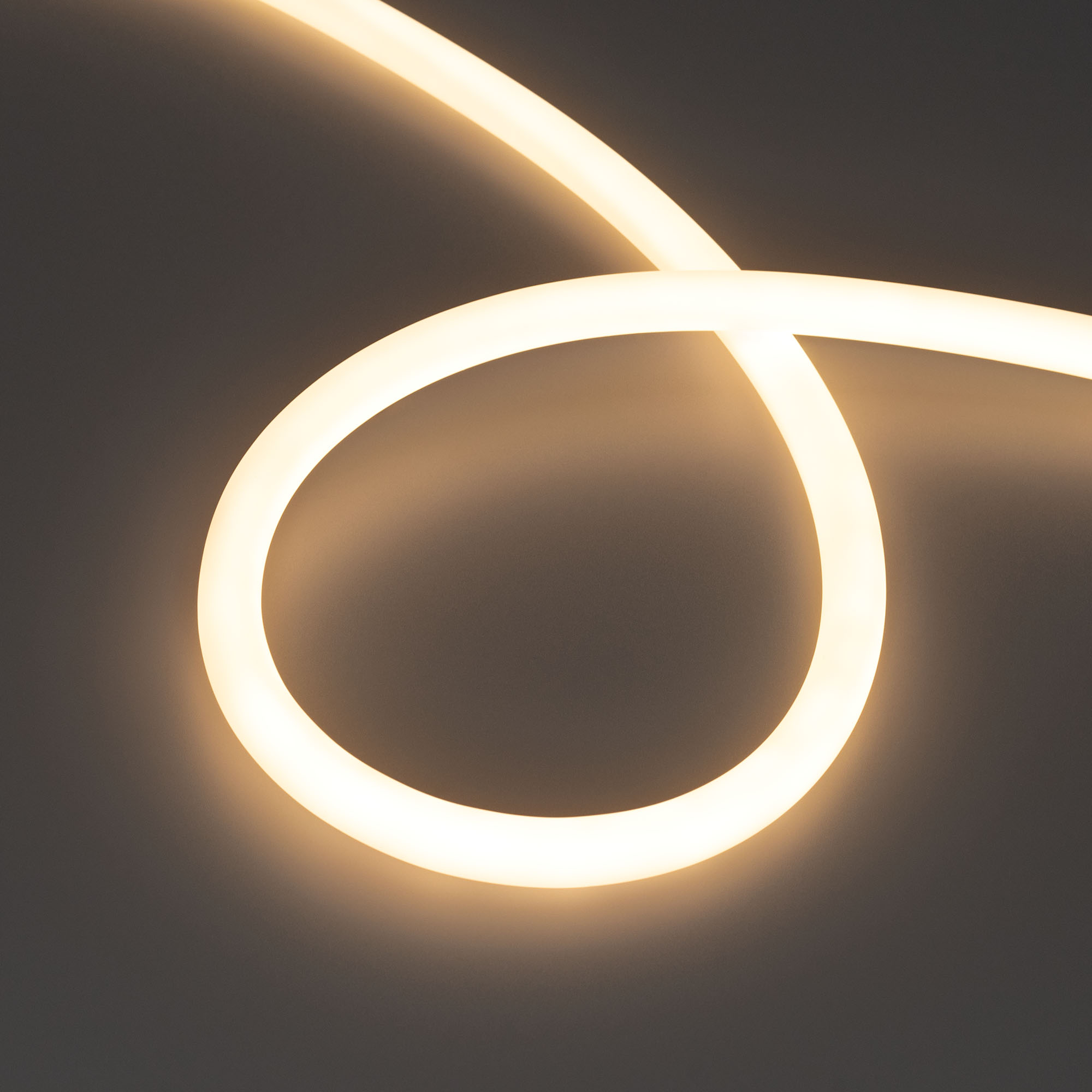 Купить Лента герметичная MOONLIGHT-TOP-S-M560-D13mm 24V Warm3000 (13 W/m, IP65, 5m, wire x1, трос) 043816 Arlight оптом в Москве