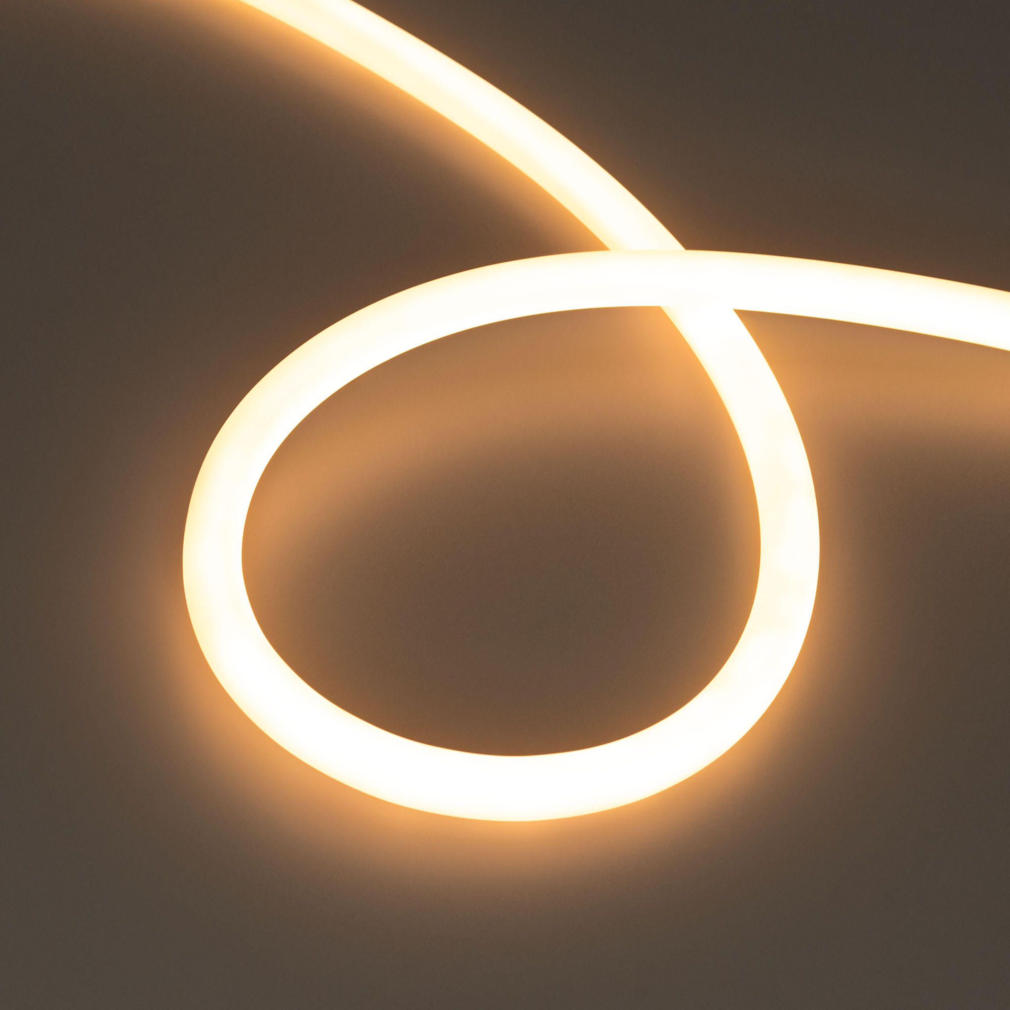 Купить Лента герметичная MOONLIGHT-TOP-S-M560-D13mm 24V Warm2300 (13 W/m, IP65, 5m, wire x1, трос) 043814 Arlight оптом в Москве