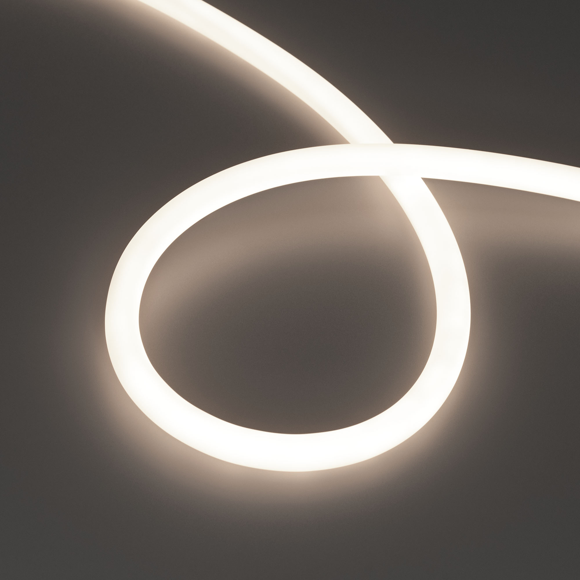 Купить Лента герметичная MOONLIGHT-TOP-S-M560-D13mm 24V Day4300 (13 W/m, IP65, 5m, wire x1, трос) 043817 Arlight оптом в Москве