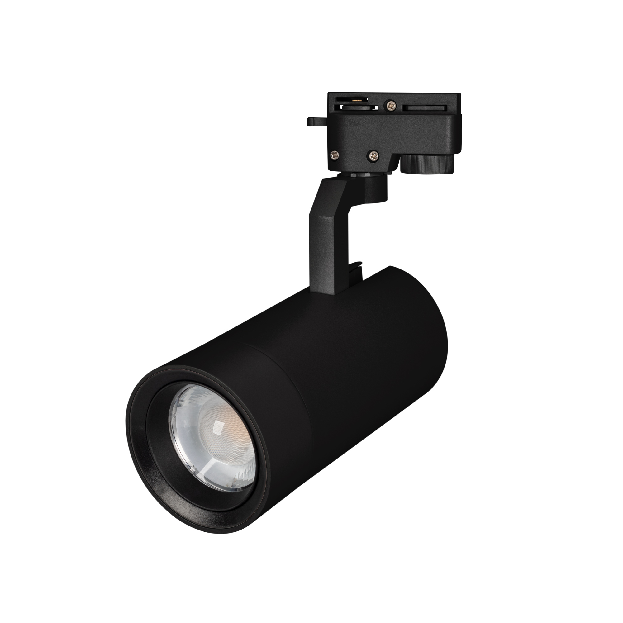 Купить Светильник LGD-GELIOS-2TR-R95-40W Day4000 (BK, 20-60 deg, 230V) 031246 Arlight оптом в Москве