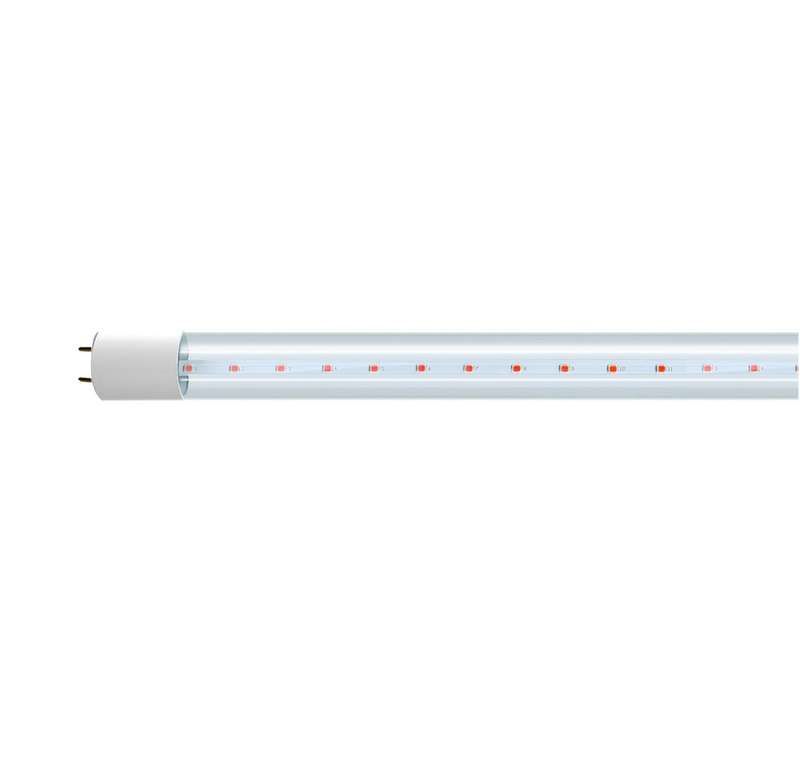 Лампа светодиодная LED 16Вт Т8 для растений прозрачная 1200 мм G13 jazzway 5025912 - Jazzway