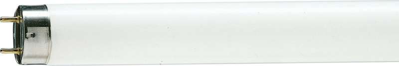 Лампа люминесцентная TL-D 36W/33-640 36Вт T8 4100К G13 928048503351 - Philips