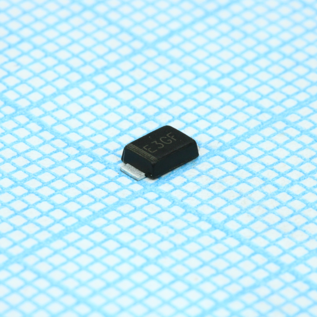 E3GF - Yangzhou Yangjie