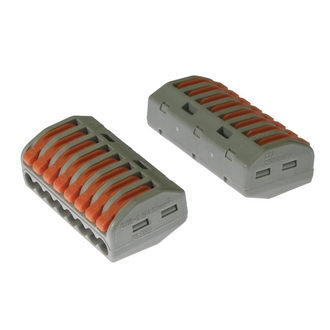 PCT-218 - RUICHI