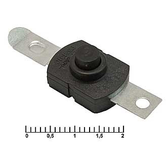 PBS101C395  1.5A 250V ON-OFF - RUICHI