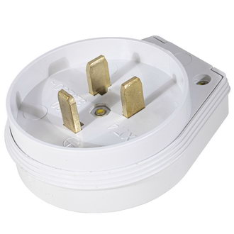 ВШ 2P+PE 250В БЕЛАЯ - RUICHI