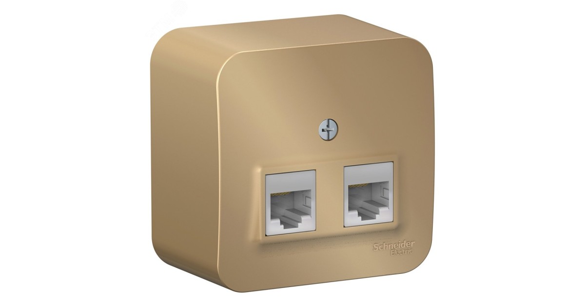 Купить Розетка компьютерная 2-м ОП Blanca RJ45 кат.5E с изолир. пластиной титан SE BLNIA045454 Systeme Electric оптом в Москве