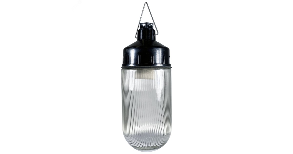 Купить Светильник НСП 02-100-001 "Желудь Ф" IP65 корпус карболит 1005550307 Элетех оптом в Москве