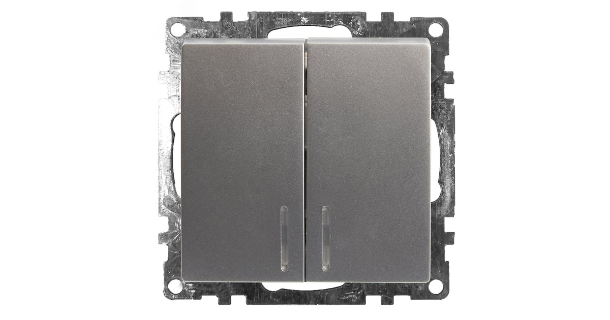 Купить Выключатель 2-клавишный c индикатором (механизм) 250В, 10А, серия Катрин, серебро 39579 Feron оптом в Москве