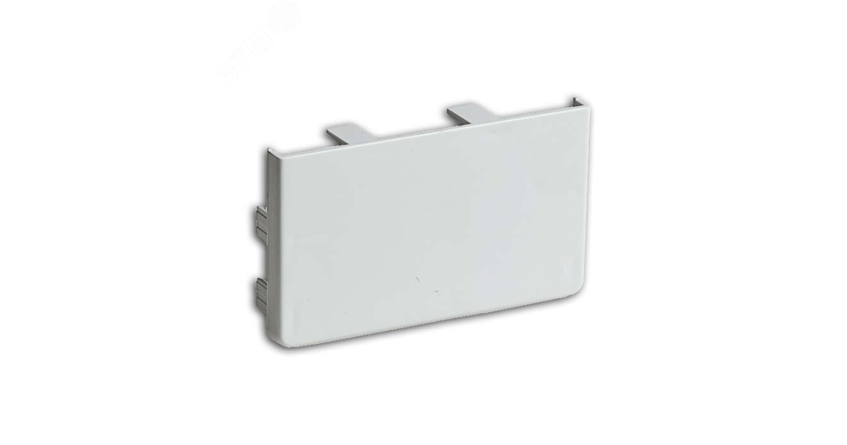 Купить Заглушка для кабель-канала РКК 100х60/40 бел. ЗГЛ-100х60 Ruvinil оптом в Москве
