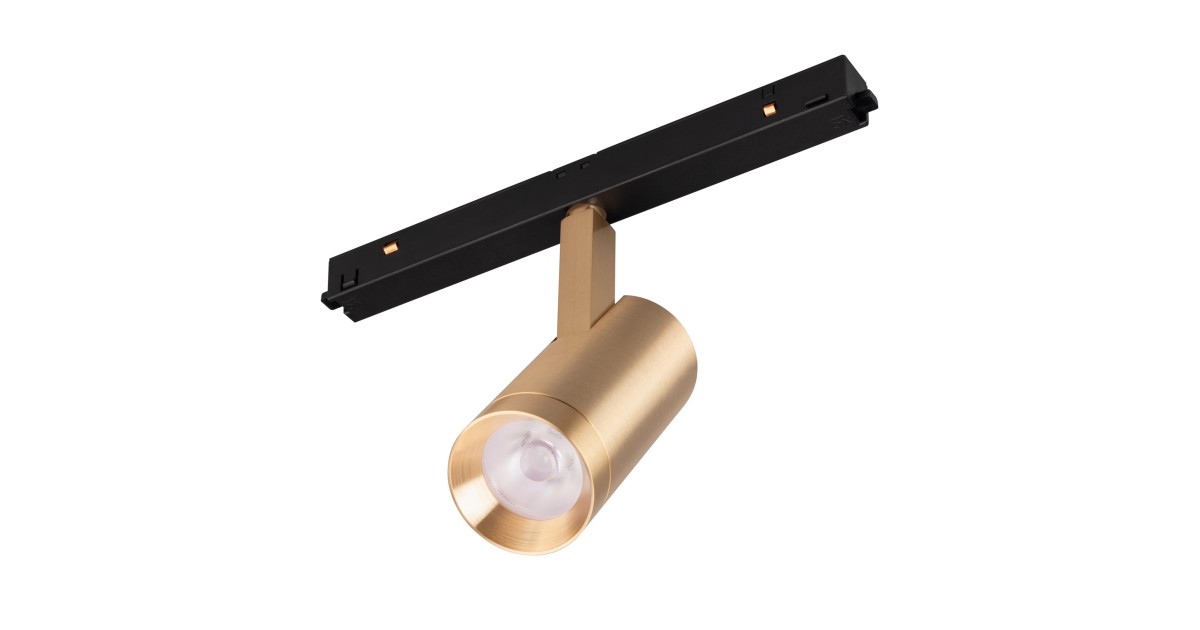 Купить Светильник MAG-ORIENT-SPOT-R45-12W Day4000 (GD, 24 deg, 48V) 040889 Arlight оптом в Москве