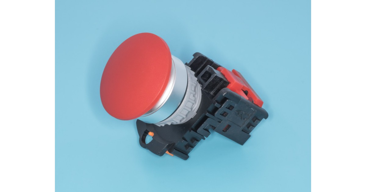 Купить TN2BMR-1B BrownBear оптом в Москве