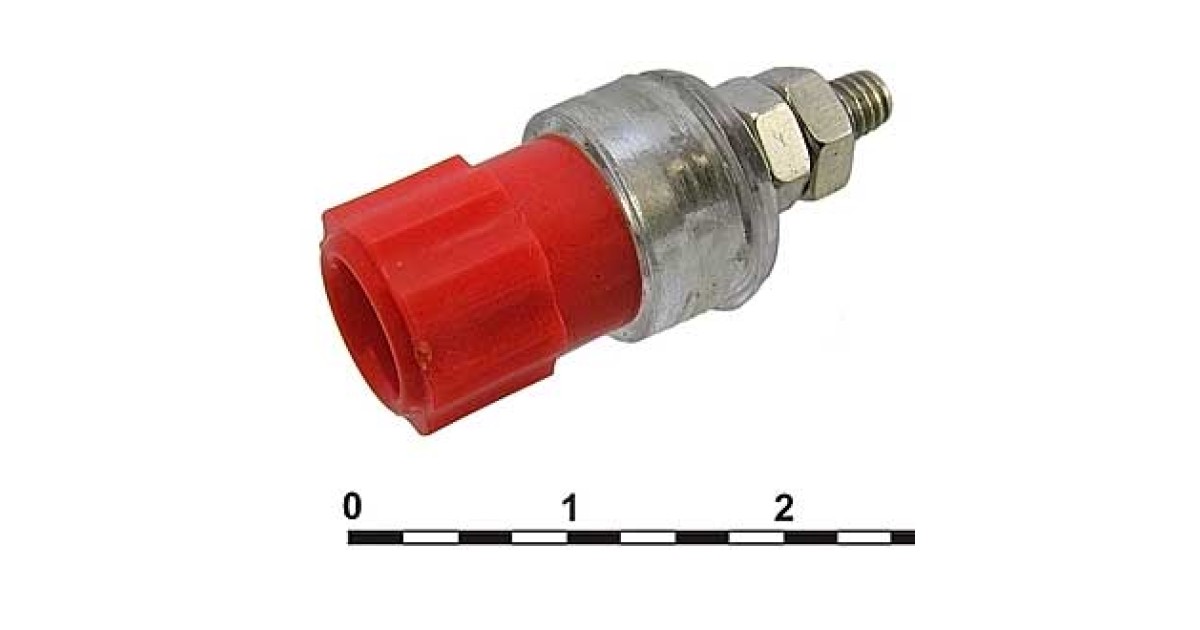 Купить 10-0063 RED RUICHI оптом в Москве