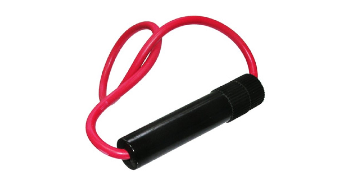 Купить S1062 (6.35X31.8 10A 250V) RUICHI оптом в Москве