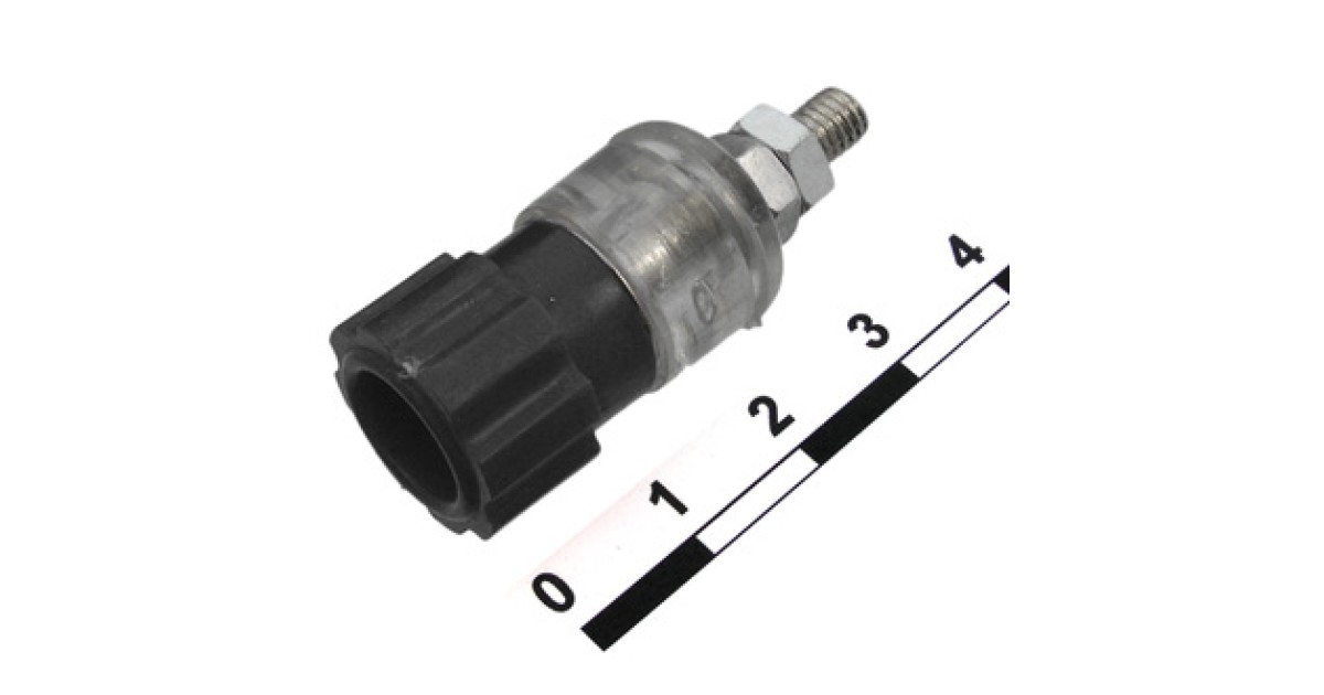 Купить 10-0064 BLACK RUICHI оптом в Москве