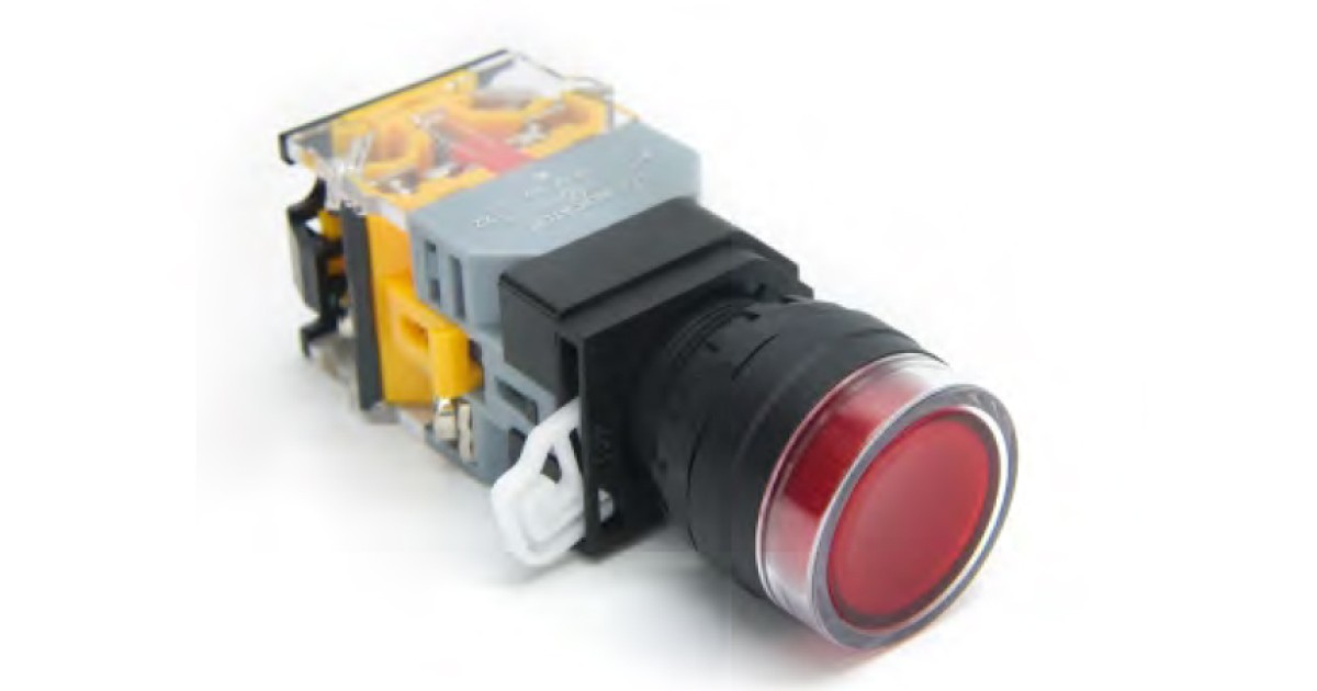 Купить Кнопка DT22A-FLD11/RDAC/DC24 Degson оптом в Москве